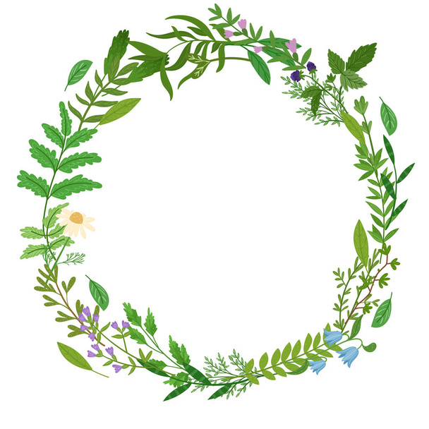 Wild herbs wreath. Cartoon leaves,brunches,flowers,twig on white background. Vector hand drawn illustration. - Vecteur, image