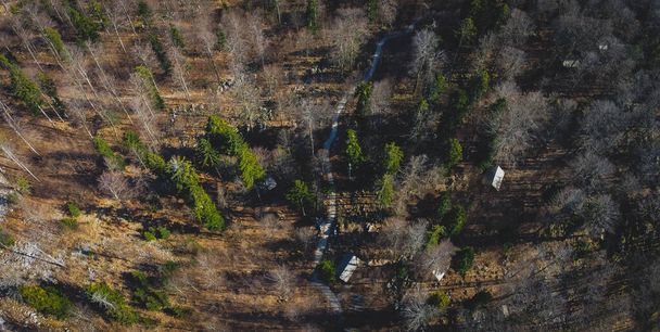 Vista aérea de cuarteles del ejército o cabañas escondidas en las profundidades del bosque en Kocevje o Kocevski rog. Un escondite partisano en Eslovenia llamado Baza 20 en un día soleado de invierno. Visible dos de cabinas. - Foto, Imagen