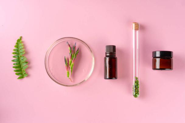 Health, skin care and beauty concept. Cosmetic containers on pink background with plant leaves - Fotoğraf, Görsel