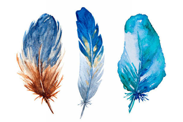 Set of watercolor brown feathers on white background. Bird's feather. Variegated feather. - Foto, afbeelding