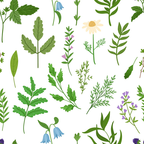 Wild herbs seamless pattern. Cartoon leaves,brunches,flowers,twig on white background. Vector hand drawn illustration. - Vector, Image