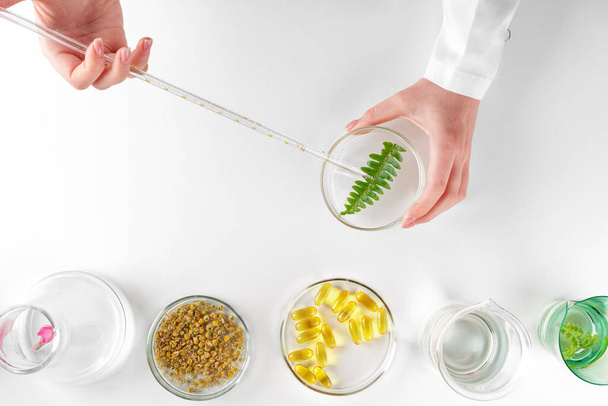 Making herbal dietary supplement in lab with plant leaves. Health and beauty concept - Photo, Image