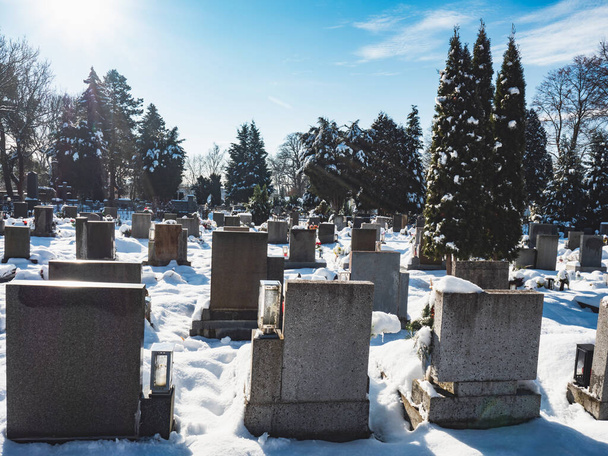 Cichy śnieżny cmentarz z nagrobkami widziany z tyłu w słoneczny zimowy dzień.  - Zdjęcie, obraz