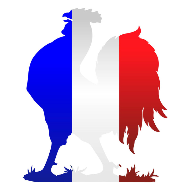 Silhouette del gallo con colori della bandiera francese, Francia, simbolo nazionale, disegno vettoriale  - Vettoriali, immagini