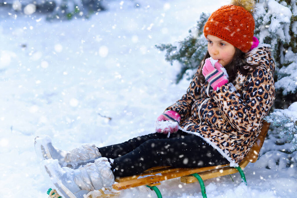 enfant fille assis sur un traîneau et dégustation de la neige dans une forêt d'hiver, sapins enneigés lumineux, belle nature. - Photo, image