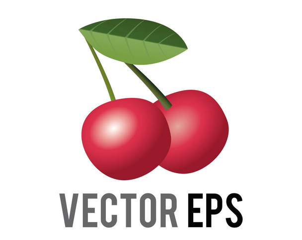 Ізольовані векторні фрукти дві багаті червоні ікони вишні з зеленим листом
 - Вектор, зображення