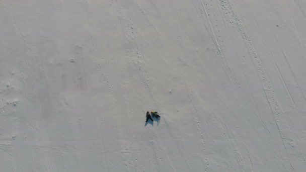 AERIAL TOP UP: δύο παιδιά απεικονίζουν αγγέλους χιονιού ξαπλωμένους σε φρέσκο χιόνι με τη μορφή σταυρού. χαρούμενη και ενεργητική, με πιτσιλιές χιονιού. - Πλάνα, βίντεο