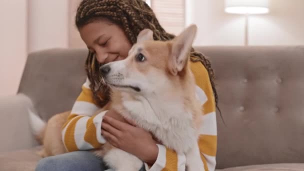 Medium long of cheerful school-aged African girl sitting on couch, laughing, holding, having fun with happy adorable Pembroke Welsh Corgi dog - Filmati, video