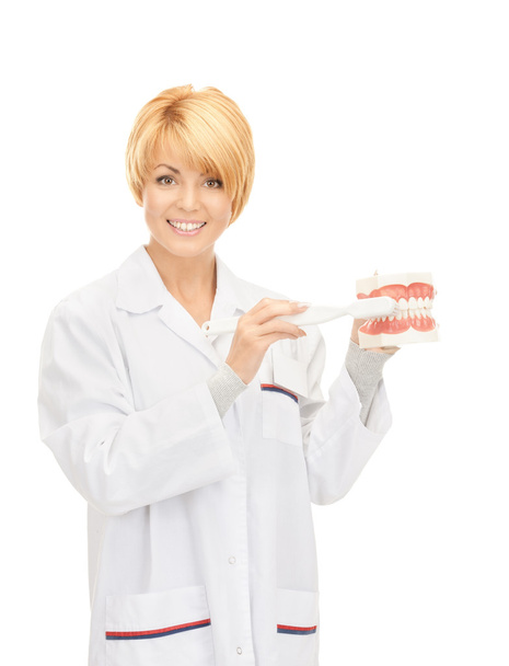 Doctor with toothbrush and jaws - Photo, image