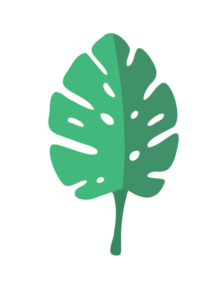常緑の熱帯リアナモンステラの葉。ベクター画像,アイコン - ベクター画像