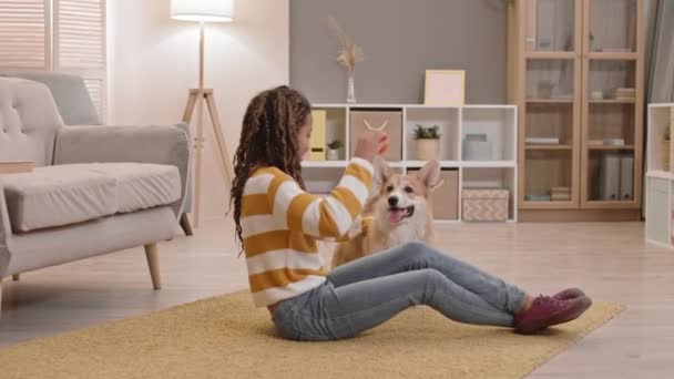 Colpo lungo di bella ragazza della scuola afroamericana seduta sul pavimento in soggiorno, sorridente, parlando, giocando a palla giocattolo con il simpatico cane Corgi gallese Pembroke - Filmati, video