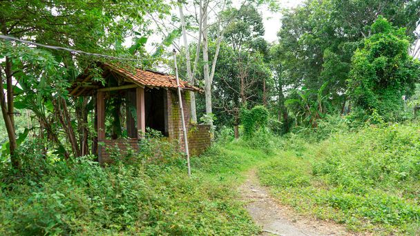 Ancienne cabane en briques abandonnée dans la forêt avec sentier pédestre - Photo, image