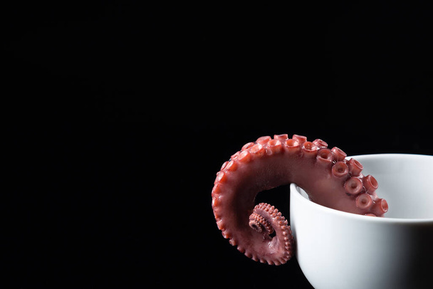 tentacule de poulpe ragoût sur fond sombre. - Photo, image