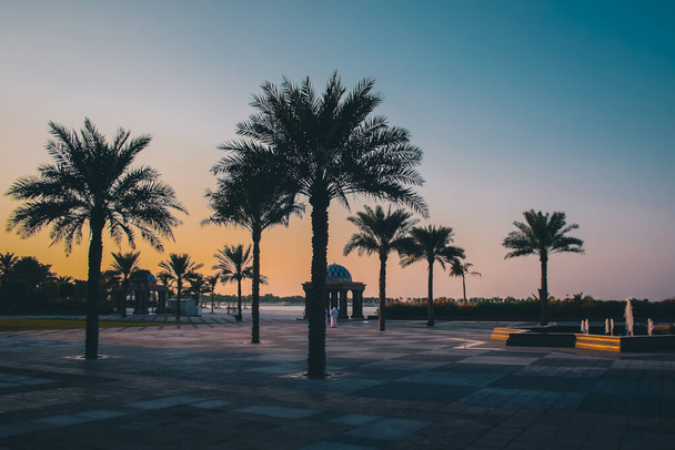 Abu Dabi, BAE 'deki sahilde akşam manzarası. Güzel palmiyeler ve gün batımının zengin renkleri.. - Fotoğraf, Görsel