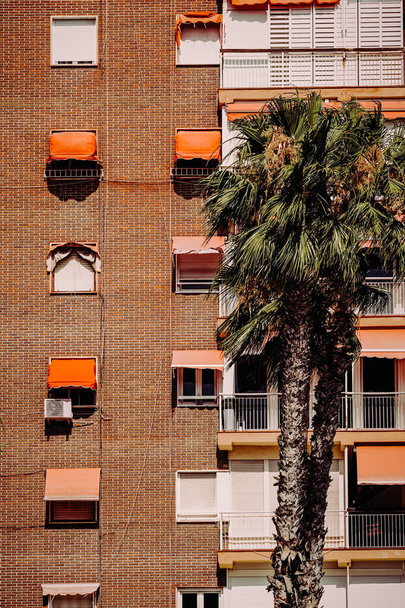 A vertical shot of a high-rise building with a palm tree in the foreground - 写真・画像
