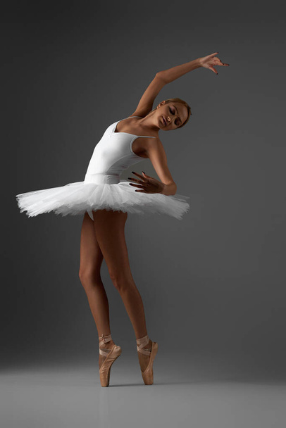 Ballerina in tutu and pointe shoes - Foto, Imagen
