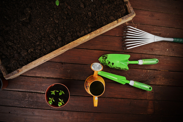 Gardening tools - Foto, imagen