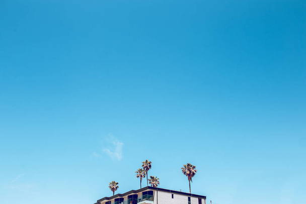 apartamento con palmeras en la playa - Foto, Imagen