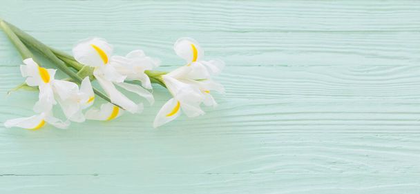 white irises on green wooden background - Foto, Bild