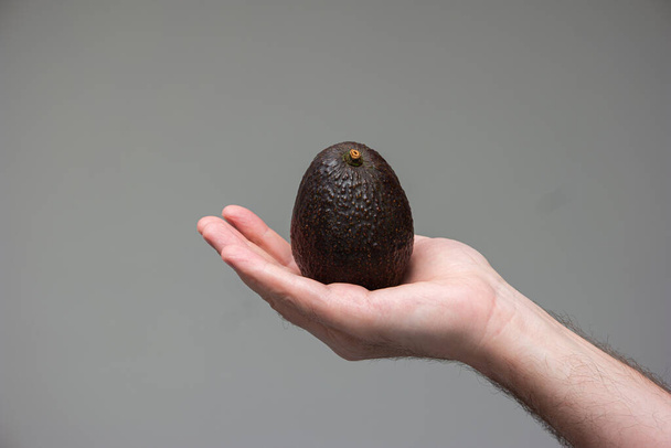 Kaukasische männliche Hand hält eine reife braune Avocado isoliert auf grauem Hintergrund. - Foto, Bild