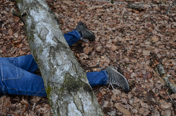 Een dode man bedekt met een boom. De boom draaide ondersteboven en verwondde zichzelf, vallen tijdens het lopen op een wandelaar, een boswachter. liggen onder de kofferbak. ze kijken naar hun armen uitgestrekt van pijn, belemmerd, smekend, schoenen - Foto, afbeelding