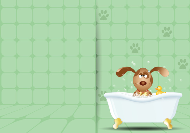 Grooming dog in bath - Photo, Image