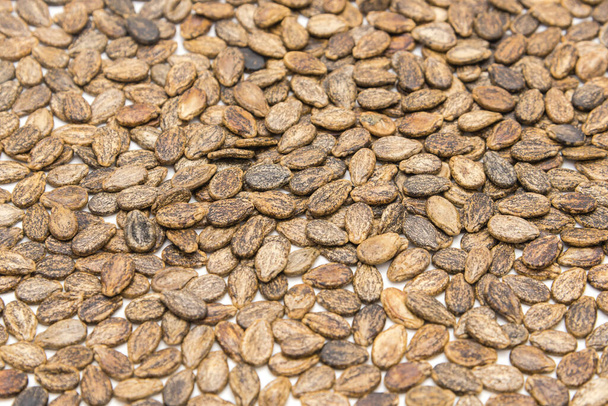 Повний вигляд текстури тла насіння натурального кавуна ізольовано на білому тлі. Органічне чорне діамантове насіння кавуна для посадки
 - Фото, зображення