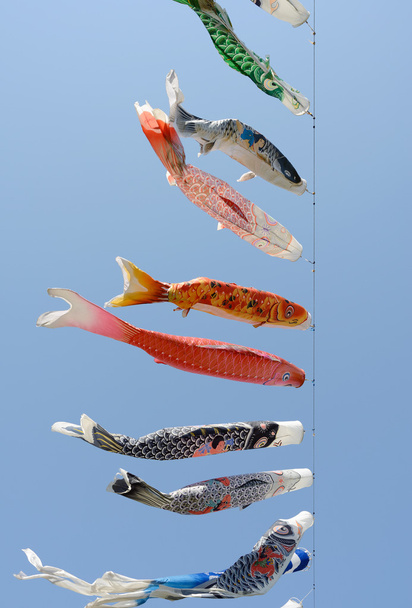 Pipa de carpa japonesa
 - Foto, Imagem