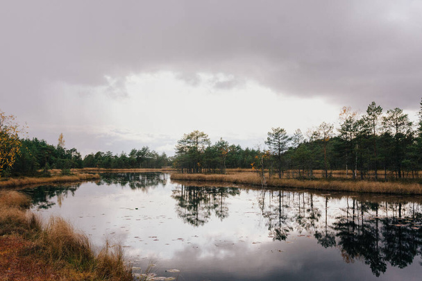 Egy esős felhős táj egy kis erdei tó felett, melynek felszínén fák tükröződnek. - Fotó, kép