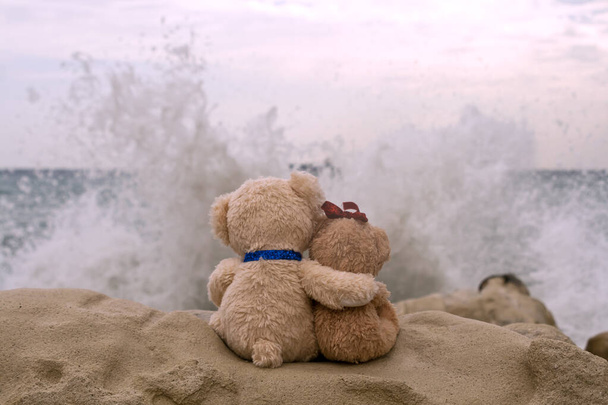 Two teddy bears in love sitting on big rock in front of stormy sea - Photo, Image
