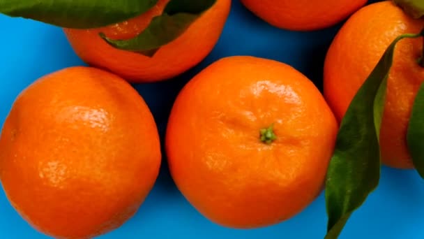 Owoce mandarynki z liśćmi z bliska na niebieskim tle.Zestaw owoców cytrusowych - Materiał filmowy, wideo