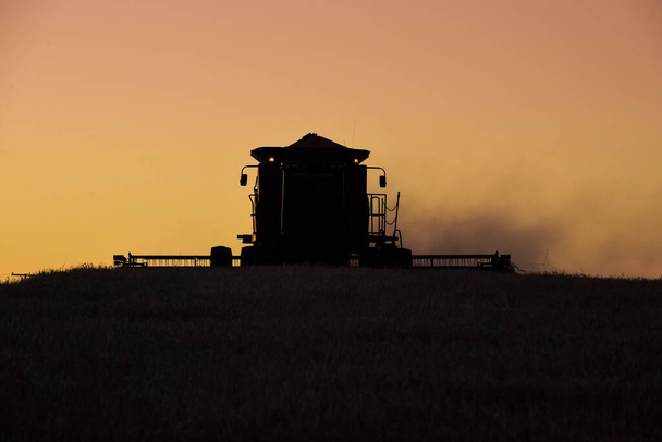 Harvester machine, harvesting in the Argentine countryside, Buen - Photo, Image
