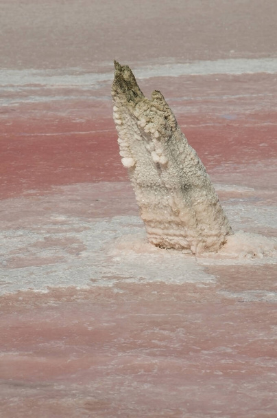 Исторические остатки старой соли, Салинас-Гранде, Ла  - Фото, изображение