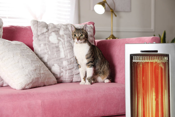 Cute cat on sofa near modern electric ultrared heater indoors - Foto, Imagem
