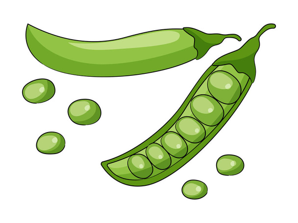 白い背景に隔離された緑のエンドウ豆のベクトル図. - ベクター画像
