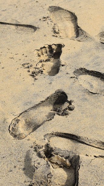 長い砂浜のビーチと熱帯砂のビーチの背景青い海と空の地平線インドケララvarkalaサンゴと海の動物や軟体動物の貝殻人の足跡と黒とシルト砂 - 写真・画像
