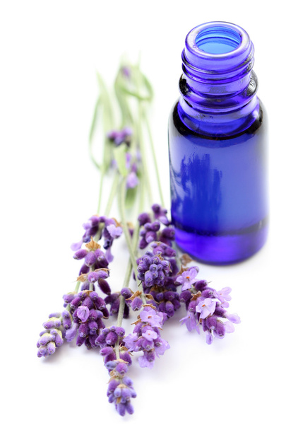 Lavender oil - Фото, изображение