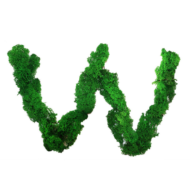 Letra W del alfabeto inglés hecha de musgo verde estabilizado, aislado sobre fondo blanco. - Foto, Imagen