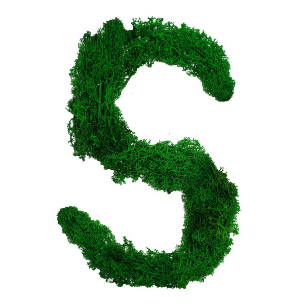 Letra S del alfabeto inglés hecha de musgo verde estabilizado, aislado sobre fondo blanco. - Foto, Imagen