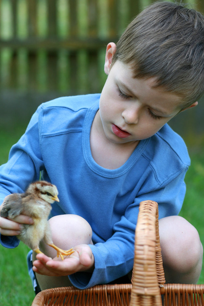 Boy and chicken - Photo, Image