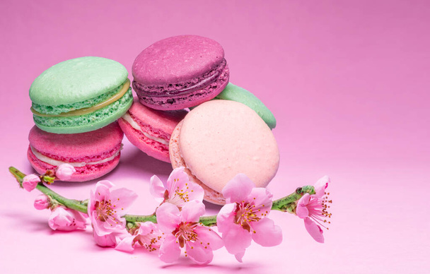 Colorful sweet macarons or macaroons, different flavored cookies on pink background with blooming cherry branch near them. - 写真・画像