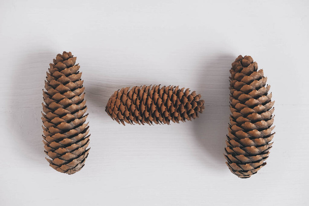 Three pine cones on a white background. Top view. Copy, empty space for text. - Photo, Image