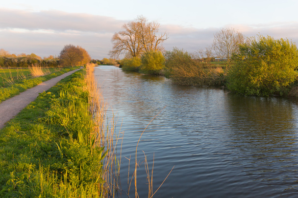 トーントンとブリッジウォーター運河サマセット イングランド イギリス西の国で平和的な水路 - 写真・画像