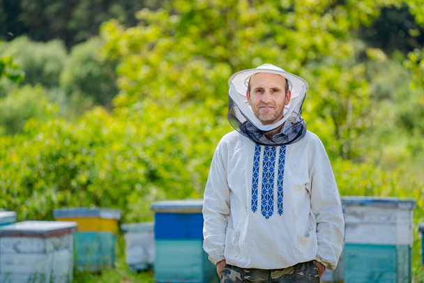 Owner of the apiary poses to the camera. Beekeeper stands with hands in pockets stands on colorful hives background. Apiculture concept. - 写真・画像