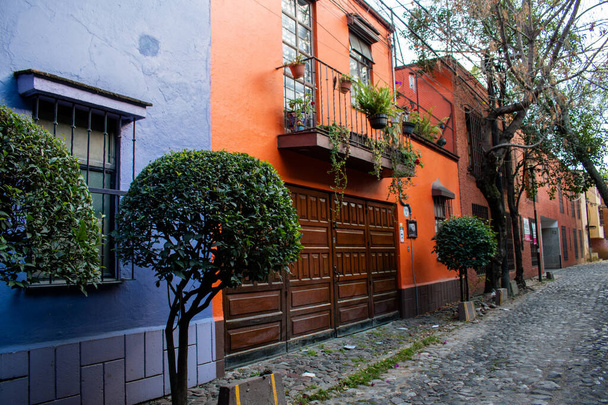 Mexico City 'de renkli İspanyol evleri ve güzel çalılar. - Fotoğraf, Görsel
