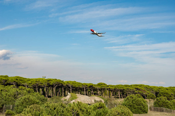 Flugzeug fliegt an einem blauen Tag in der Ferne über einem Wald. Reiselust - Foto, Bild