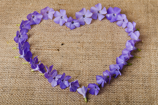 Blue flowers in a shape of a heart on burlap background - Photo, Image