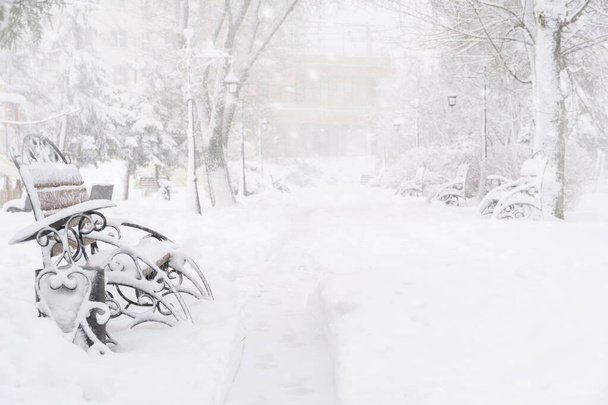 parco cittadino invernale, panchine coperte di neve e nevicate - Foto, immagini