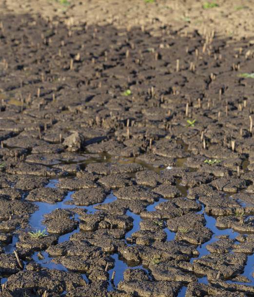 Η Γη ράγισε λόγω της ξηρασίας. Η παγκόσμια έλλειψη νερού στον πλανήτη. Έννοια της υπερθέρμανσης του πλανήτη. - Φωτογραφία, εικόνα