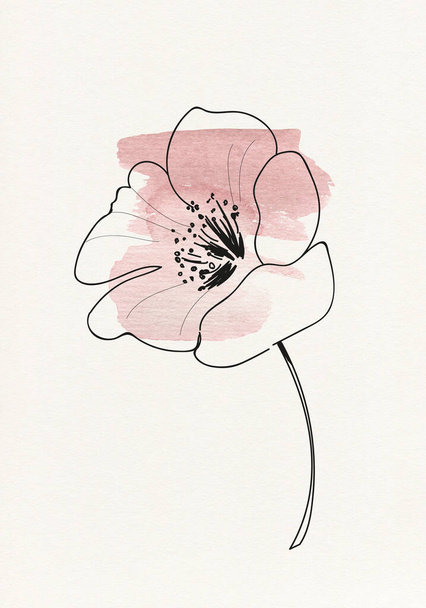Illustration graphique de fleurs. fleur ligne art motif fond. - Photo, image